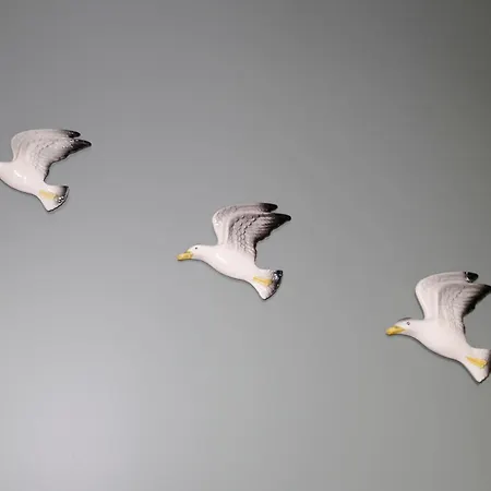 The Artist's House Apartment Scarborough